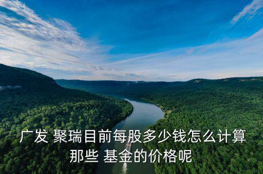 廣發聚瑞股票基金怎么樣,廣發聚瑞基金是黑馬!