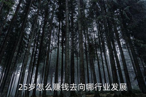 25歲怎么賺錢去向哪行業發展