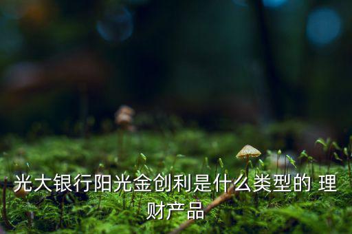 光大銀行陽光金創利是什么類型的 理財產品