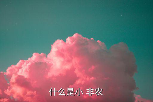 什么是小 非農