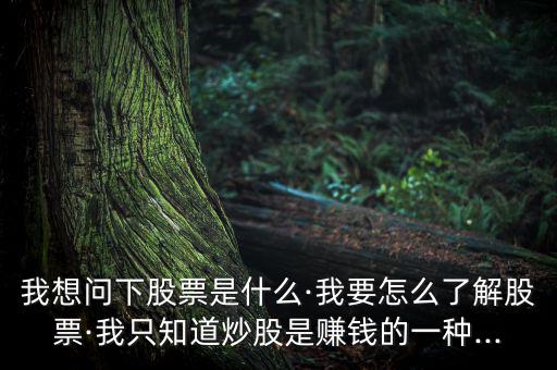 進行個股簡單說明怎么寫,投資股票要學會釣魚，學會吃魚!
