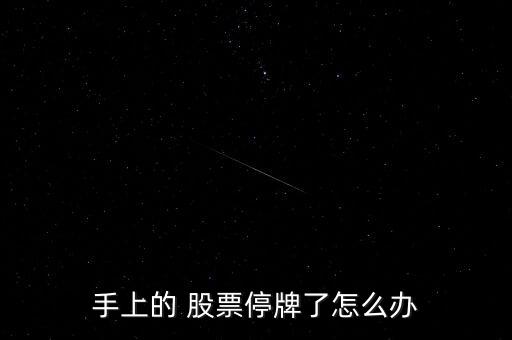 股票停盤怎么辦,公司股票將繼續停牌至少20日
