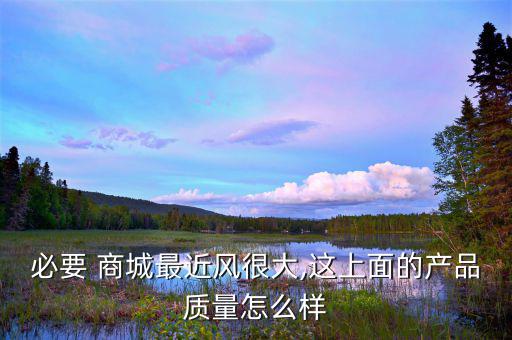 必要商城的鞋怎么樣,必需品商城的三大優勢
