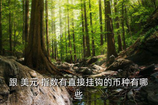 跟 美元 指數有直接掛鉤的幣種有哪些