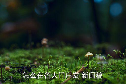 怎么在各大門戶發 新聞稿