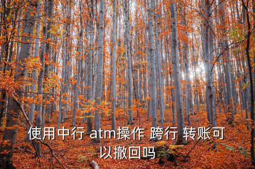 atm跨行轉賬錯誤怎么辦,轉賬新規則