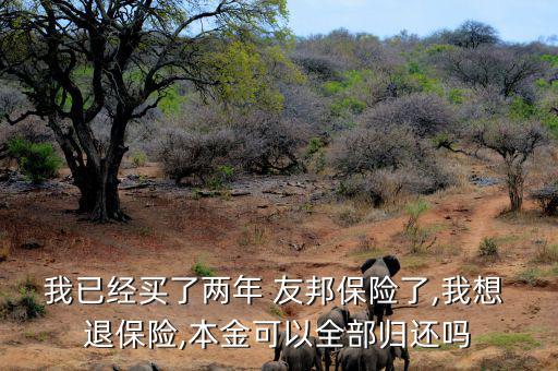 我已經買了兩年 友邦保險了,我想 退保險,本金可以全部歸還嗎