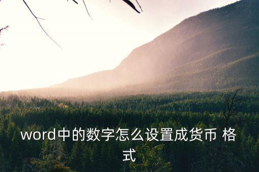 word中的數字怎么設置成貨幣 格式
