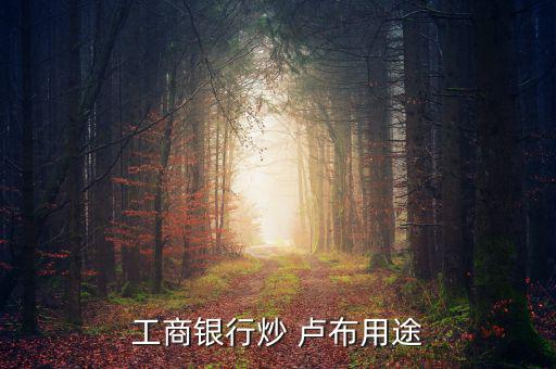 怎么炒盧布,支付寶不能買股票但是主要貨幣有很大發展空間