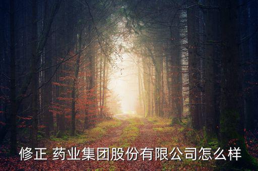  修正 藥業集團股份有限公司怎么樣
