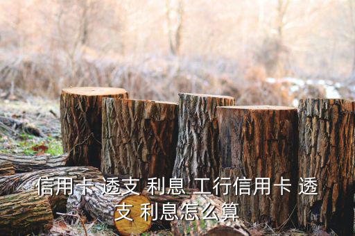 工行透支利息怎么回事,工行牡丹信用卡以下計息規定不再調整