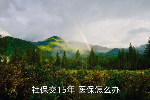 社保15年醫保怎么辦,醫療保險繳納滿25年才能享受養老待遇