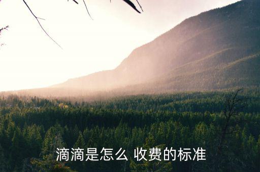 滴滴停車費怎么收費,滴滴停車費如何開發票?