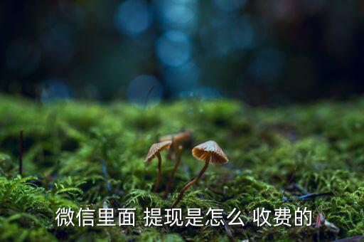 微信零錢提現怎么收費,微信零錢轉銀行卡不再收費但需付手續費
