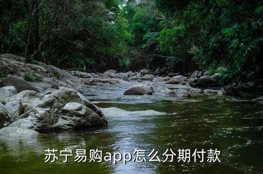 蘇寧任性付怎么還款,-2任性可選擇在賬單發出前提前還款還款