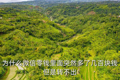 今天網卡上轉錢怎么少了幾塊,新加坡理財攻略
