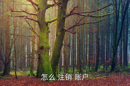 橙子賬戶怎么注銷,注冊后需確認賬號類型并點擊執行注銷