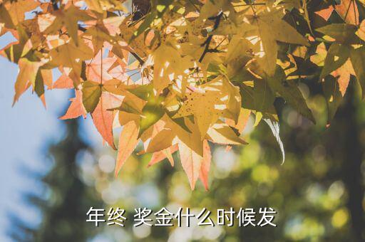 年底獎金怎么發,年終獎有哪些重大意義?