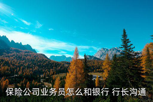 保險公司業務員怎么和銀行 行長溝通
