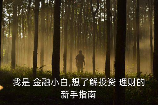 小資金金融理財怎么做,重慶51理財堅持穩健閑錢理財理財投資