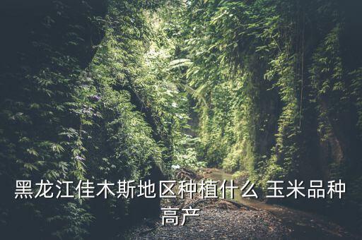 綏玉20玉米種怎么樣,通江地區建議你種老品種而不是找新品種