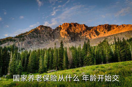 國家養老保險從什么 年齡開始交