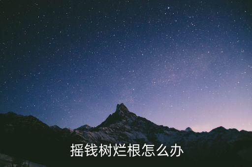 搖錢樹(shù)爛根怎么辦