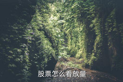 怎么看股票是縮量還是放量,數字化的人群有何差別?