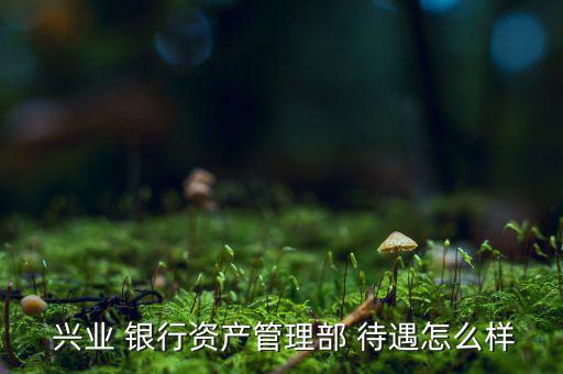  興業 銀行資產管理部 待遇怎么樣