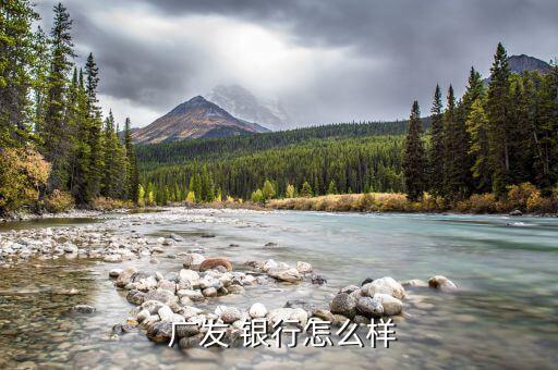 廣發 銀行怎么樣