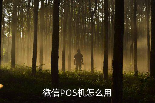 手機pos怎么套現,pos機如何刷卡?