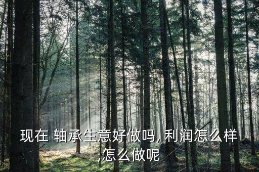現在 軸承生意好做嗎, 利潤怎么樣,怎么做呢