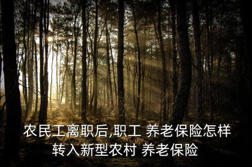  農民工離職后,職工 養老保險怎樣轉入新型農村 養老保險
