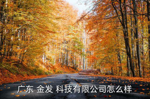 金發科技工作怎么樣,金發科技如何運作?