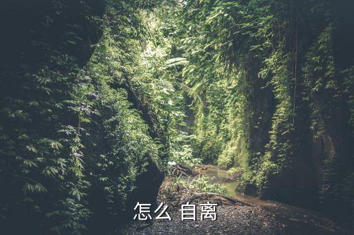 自離怎么辦理,自動離職:沒理由不給你辦離職手續