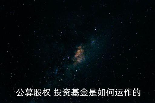 個人怎么公募投資,私募基金投資細節表