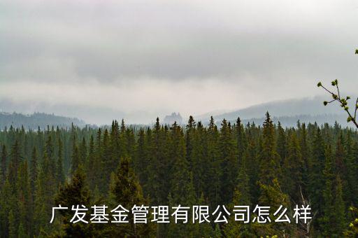  廣發基金管理有限公司怎么樣