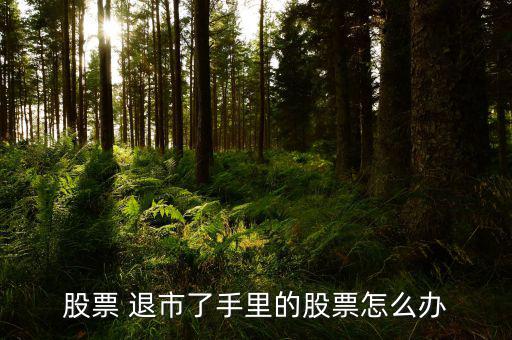 強制退市股民怎么辦,退市還是商業二八法則