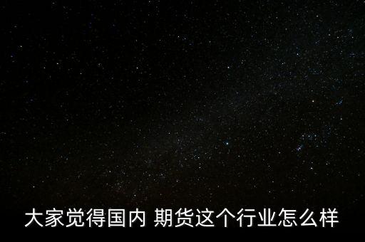 大家覺得國內 期貨這個行業怎么樣