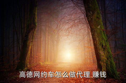 高德網約車怎么做代理 賺錢
