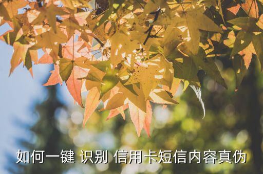 如何一鍵 識別 信用卡短信內容真偽