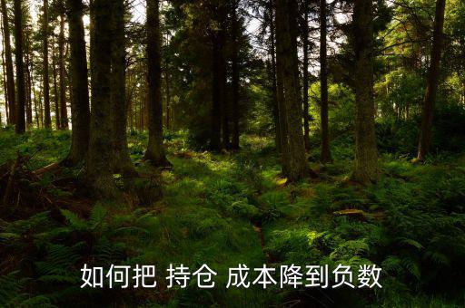 如何把 持倉 成本降到負數