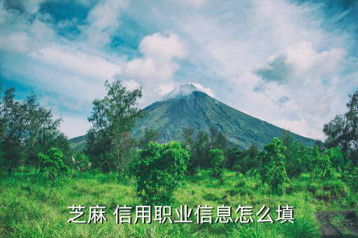芝麻信用學校怎么填,支付寶芝麻信用專業信息填寫方法如下