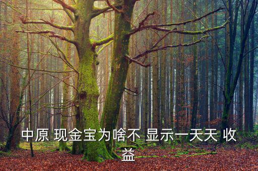 中原 現金寶為啥不 顯示一天天 收益