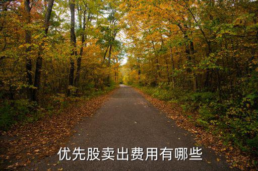 優先股怎么交易,優先股可以先于普通股獲得分紅