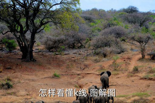 放量怎么看圖解,股市動態分析與個人資料