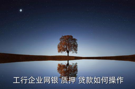 工行質押貸款怎么投資股市,工行開通網上股票交易業務參考如下