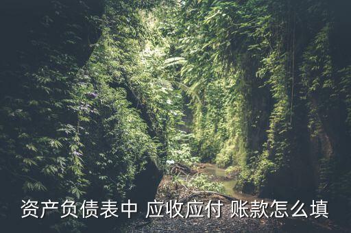 資產負債表中 應收應付 賬款怎么填