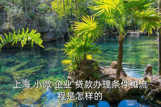 小微企業怎么貸款,第一章:貸款機構與企業簽約合同