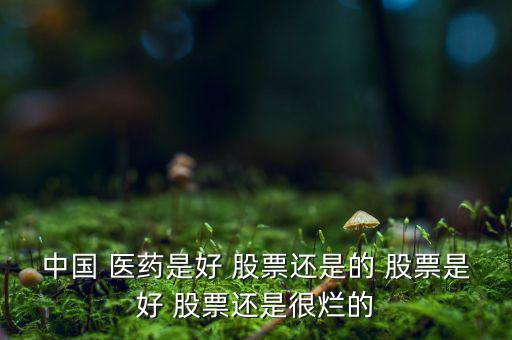 沃華醫藥股票怎么樣,中國醫藥這個股票前景如何?